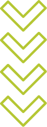 Group 29 green arrows